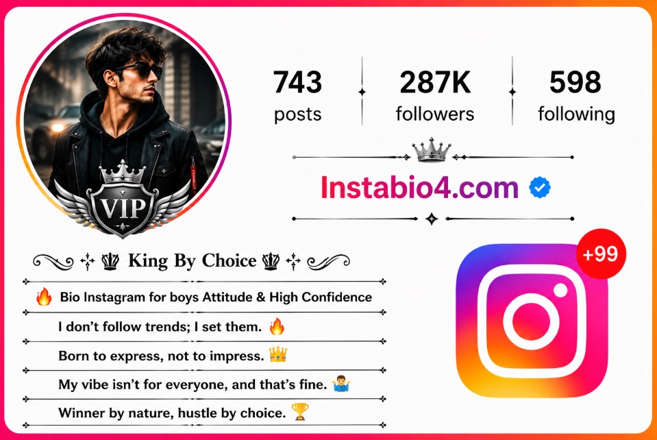 Bio for Instagram for Boy Attitude