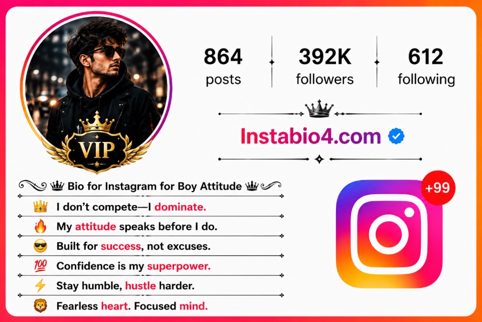 Bio for Instagram for Boy Attitude